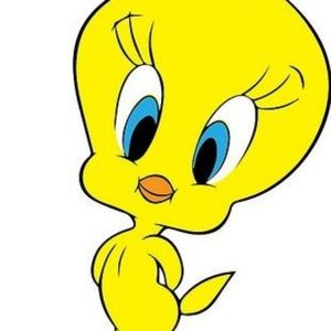 Meet your Posher, Joye